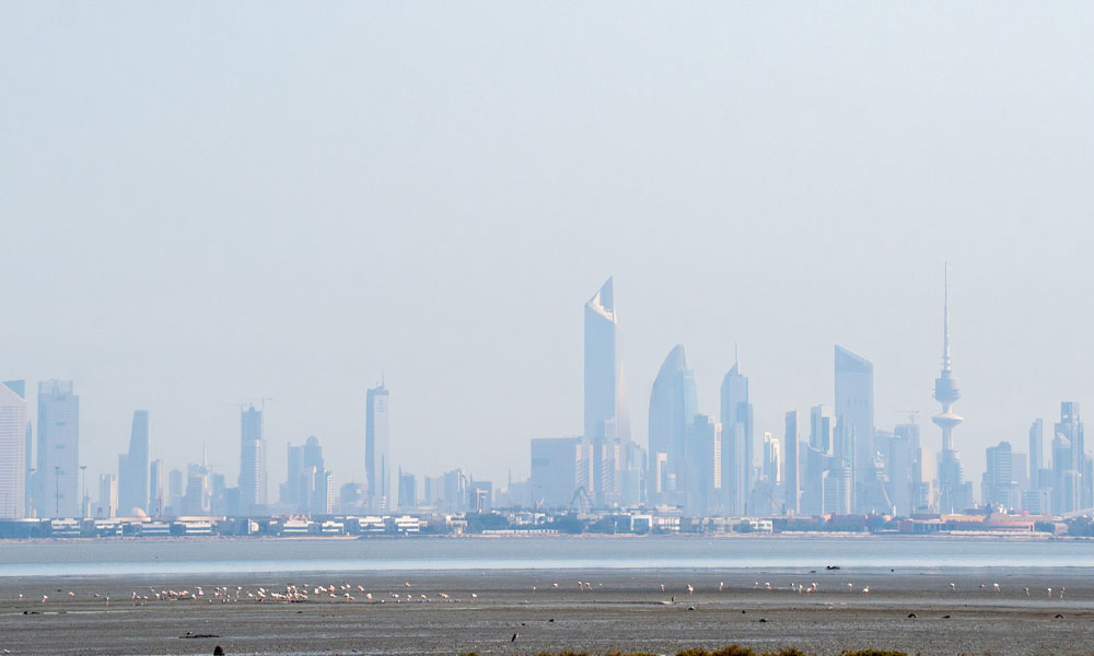 الأرصاد الجوية: طقس مائل للحرارة إلى معتدل نهارا ومائل للبرودة الى بارد ليلا في عطلة نهاية الأسبوع