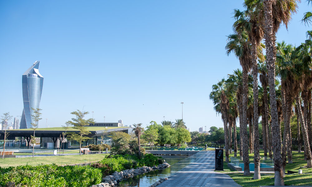 الأرصاد الجوية: طقس مائل للحرارة إلى معتدل نهارا ومائل للبرودة إلى بارد ليلا في عطلة نهاية الأسبوع