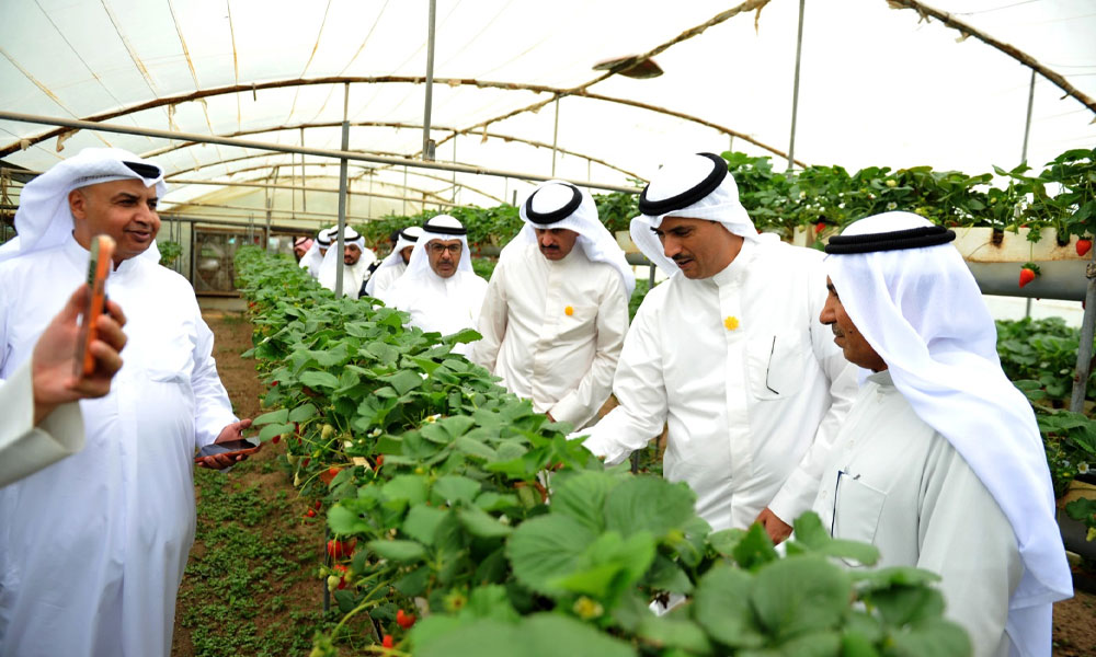 محافظ الأحمدي يتفقد منطقة الوفرة الزراعية ويؤكد الحرص على تذليل العقبات أمام المزارعين