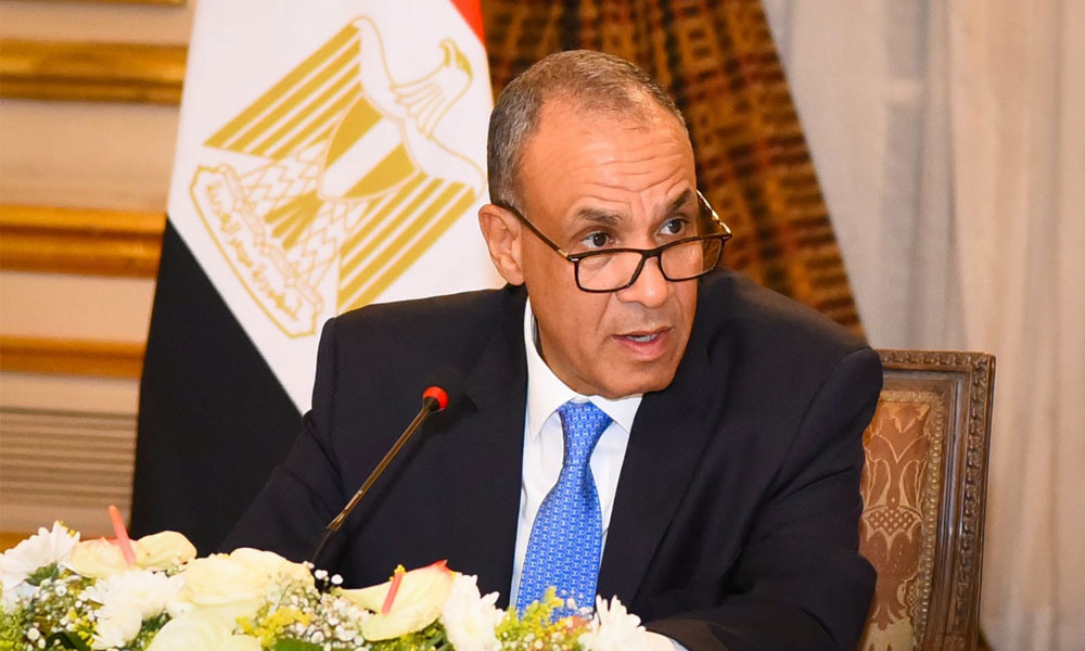 وزير الخارجية المصري يؤكد ضرورة تسريع إنفاذ المساعدات إلى قطاع غزة