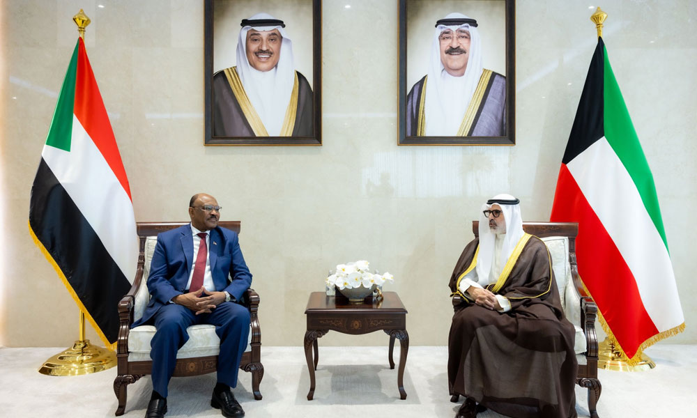 وزير الخارجية يبحث ونظيره السوداني تعزيز العلاقات بين البلدين
