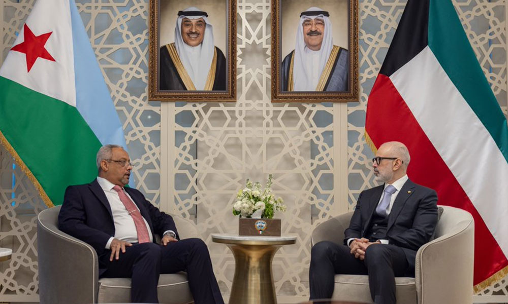 وزير الخارجية يستعرض مع وزير الشؤون الخارجية الجيبوتي العلاقات الثنائية وسبل تعزيزها